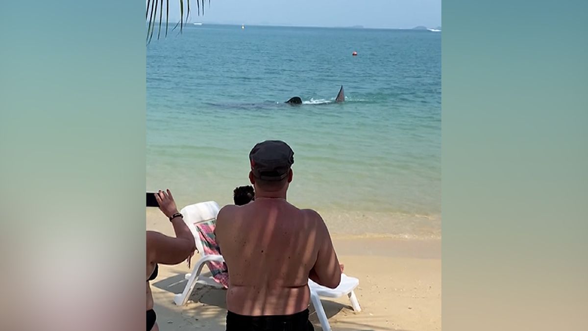 Turisty na pláži v Thajsku vyděsil mohutný žralok pár metrů od břehu